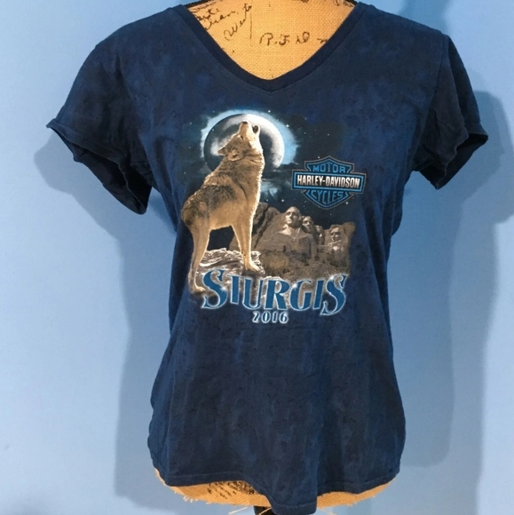 Harley-Davidson Tops - Women’s Sturgis Black Hills Bike Rally V-neck Tee Shirt, Size Large
